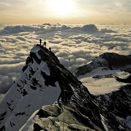 Alpe-adria * Oberaichwald (Carinthia)