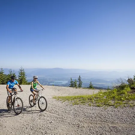 Alpe-adria Oberaichwald (Carinthia)