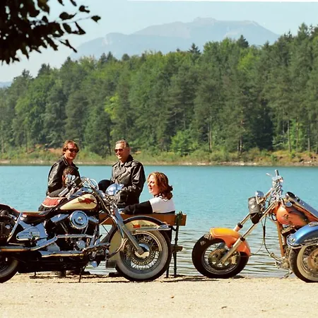 Alpe-adria Oberaichwald (Carinthia)