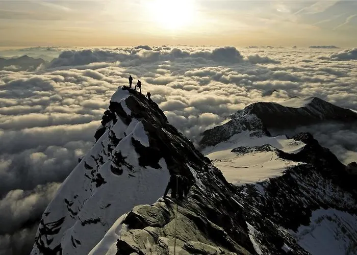 Alpe-adria * Oberaichwald (Carinthia)