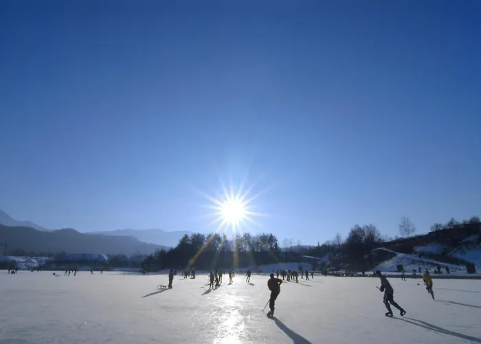 Apartament Alpe-adria *