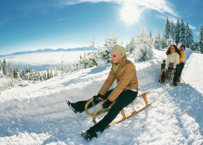 Apartament Alpe-adria *