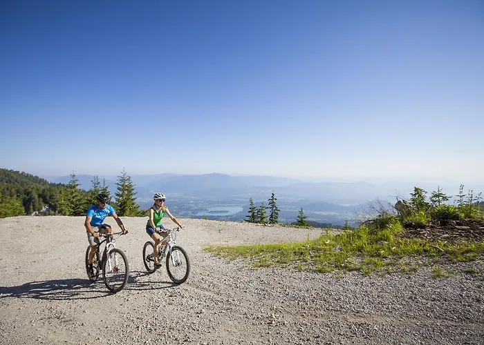 Alpe-adria Oberaichwald (Carinthia)
