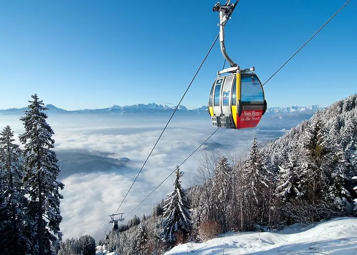 Alpe-adria Oberaichwald (Carinthia)