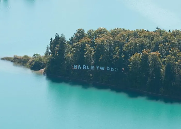 Alpe-adria Oberaichwald (Carinthia)