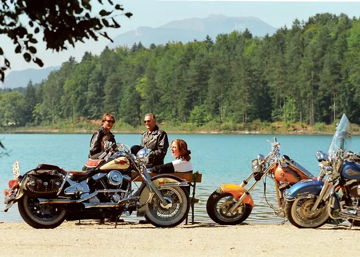 Alpe-adria Oberaichwald (Carinthia)